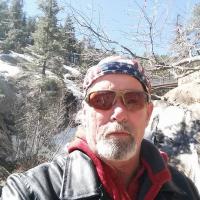 David W Colmus