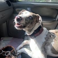 Ellen Raidl