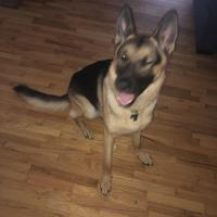 Matt Luke