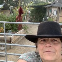 Susan L Dunn