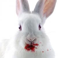 Sally McBeagleson