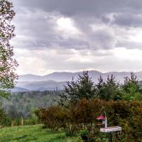 Dan Schmidt