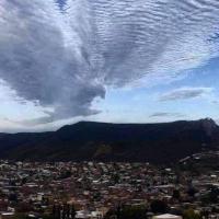 Sophia Miller