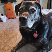 Vicky powers