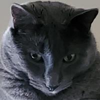JJ Miller