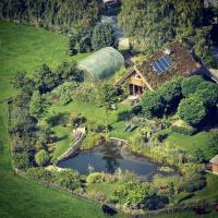Laura Hampton