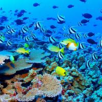 Sherry OBrien