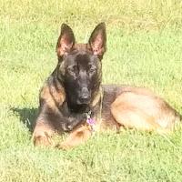 Tim and Dawna Hutchison