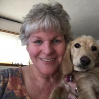Kelly Amis