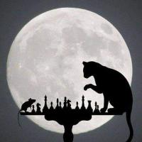 James Timothy Mohn