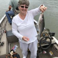 Donna Blalock