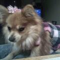 DeeDee B