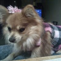 DeeDee B