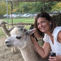 Lisa Dalessandro