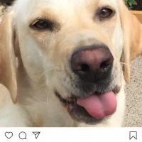 Christopher Gray