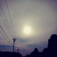 Sandie Bramblett Tigert