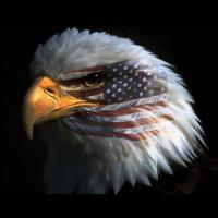 LibertyLover