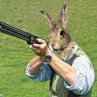 Rogue Rabbit