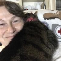 Pam Hebert