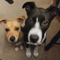 Tammy Wooldridge