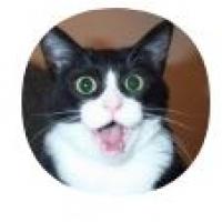 Catherine Flavia Conrad