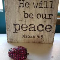 Adriane Voyles
