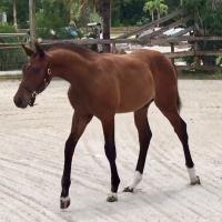 Maggie Fullington