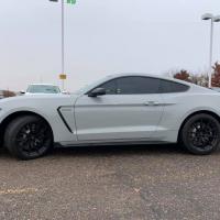 Dave B