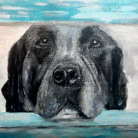 Suzanne Trandum Nelson