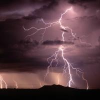 Linda Lou Tipton