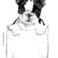 Bobette Arnold