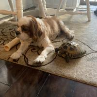 Sean
