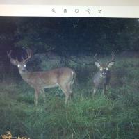 Luke stevens