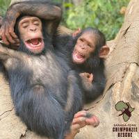 Adrienne Statfeld