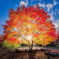 Beckie Oberman Martin