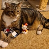Laura Griffith