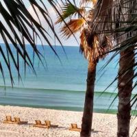 Tina Smallwood Yearta