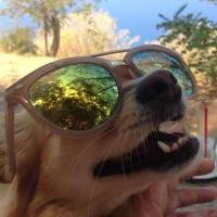 Rusty Wise