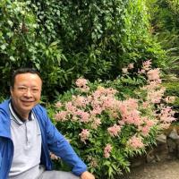 Peter Nguyen