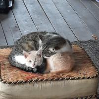 ChristopherPrevett