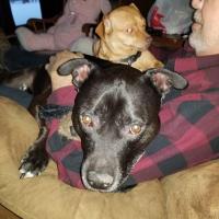 Susan Lucas