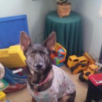 Tracie Nanna