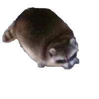 cocksworth mcghee