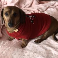 Sheila Long Barnhart