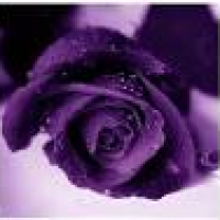 Susan Drummond