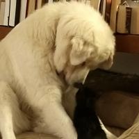 Mary Ostrem