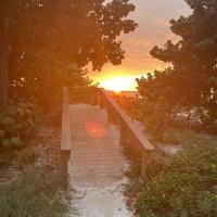 Holly Kaye