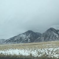 Joe