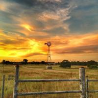 Diane Janette Shearrer