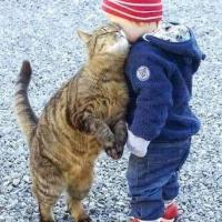 Sunny Rogers